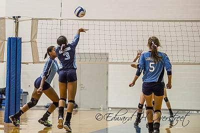DHS vs TL091